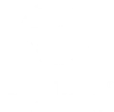 Fritz Kola